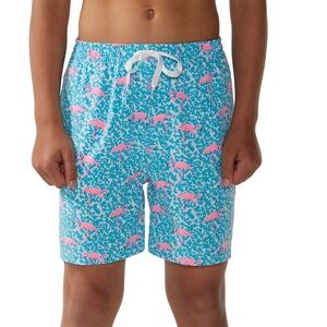 Chubbies Big Boys The Domingo’s Are For Flamingos Class Swim Trunks XL (18-20)